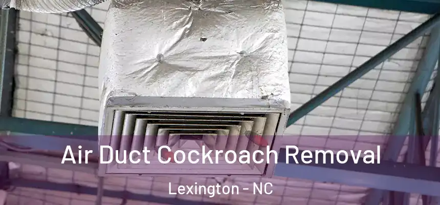Air Duct Cockroach Removal Lexington - NC