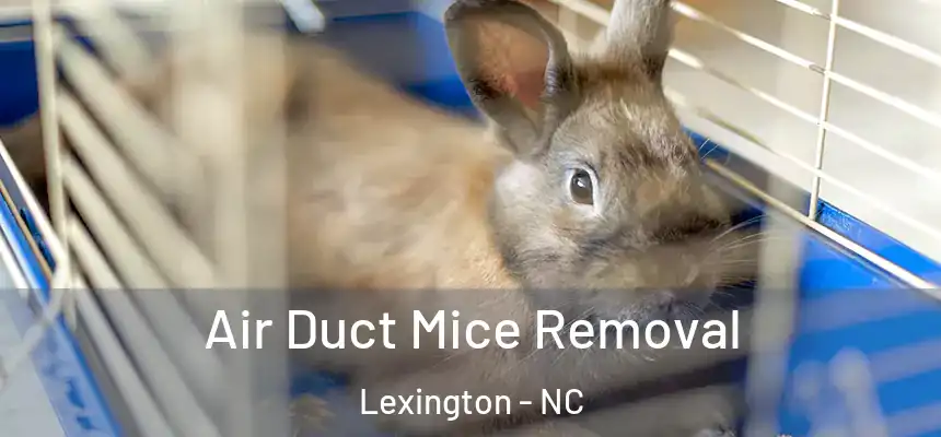 Air Duct Mice Removal Lexington - NC
