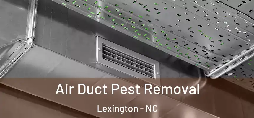 Air Duct Pest Removal Lexington - NC