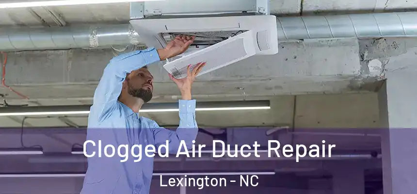  Clogged Air Duct Repair Lexington - NC