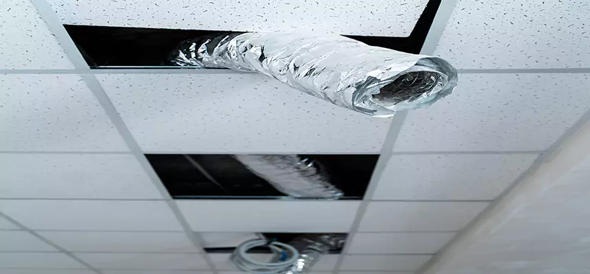 Our Air Duct Pet Hair Removal Services in Lexington, NC