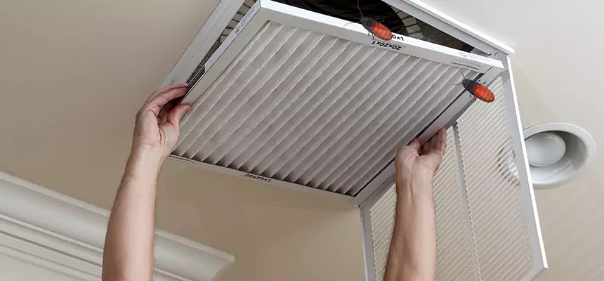 Our Insect Removal from Air Ducts Services in Lexington, NC