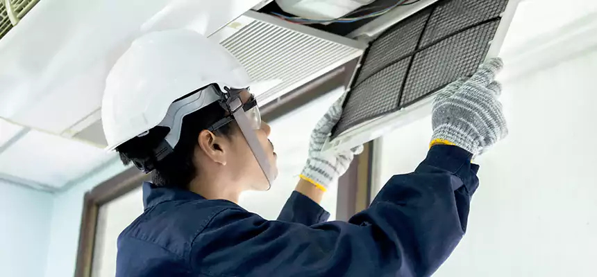 Our Mold & Mildew Removal from Air Ducts Services in Lexington, NC