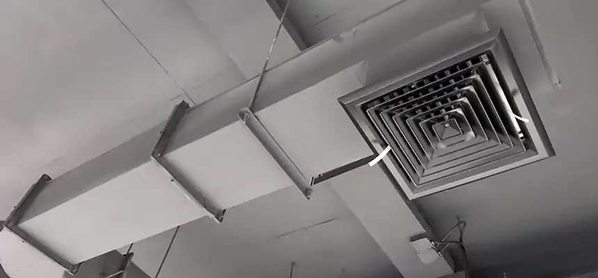 Our Pest Removal From Ducts Services in Lexington, NC