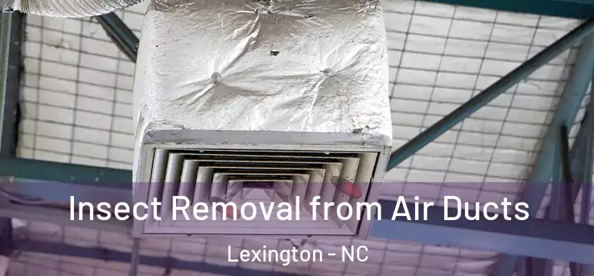  Insect Removal from Air Ducts Lexington - NC