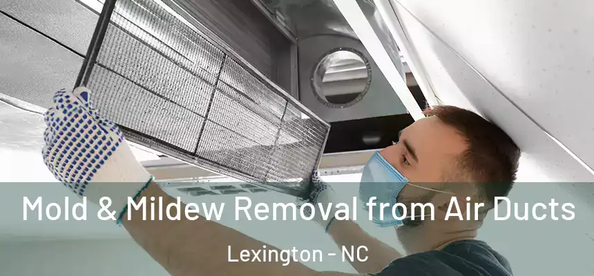  Mold & Mildew Removal from Air Ducts Lexington - NC