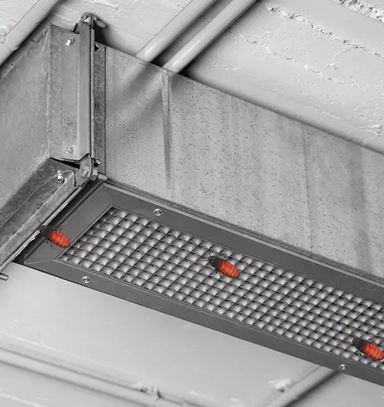 About Air Duct Cockroach Removal in Lexington, NC