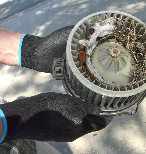 About Air Duct Mice Removal in Lexington, NC