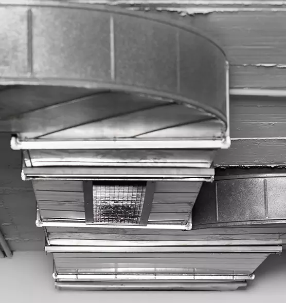 Professional Air Duct Pet Hair Removal in Lexington, NC