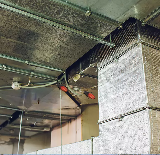 Why Homeowners & Businesses Trust Us in Lexington, NC?