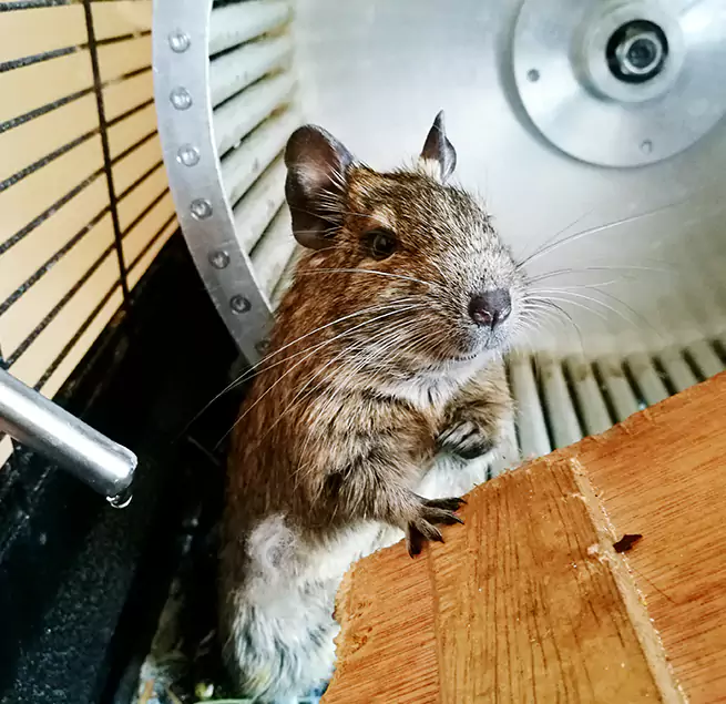 Why Homeowners & Businesses Trust Us Lexington, NC?